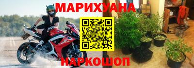 гидра Волжск