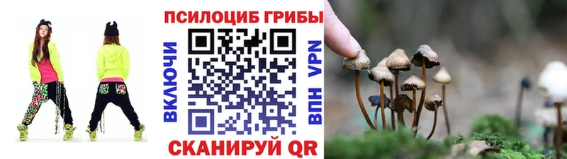 Псилоцибиновые грибы GOLDEN TEACHER  Серов 