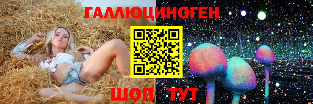 Псилоцибиновые грибы MAGIC MUSHROOMS  Серов  Псилоцибиновые грибы мицелий 