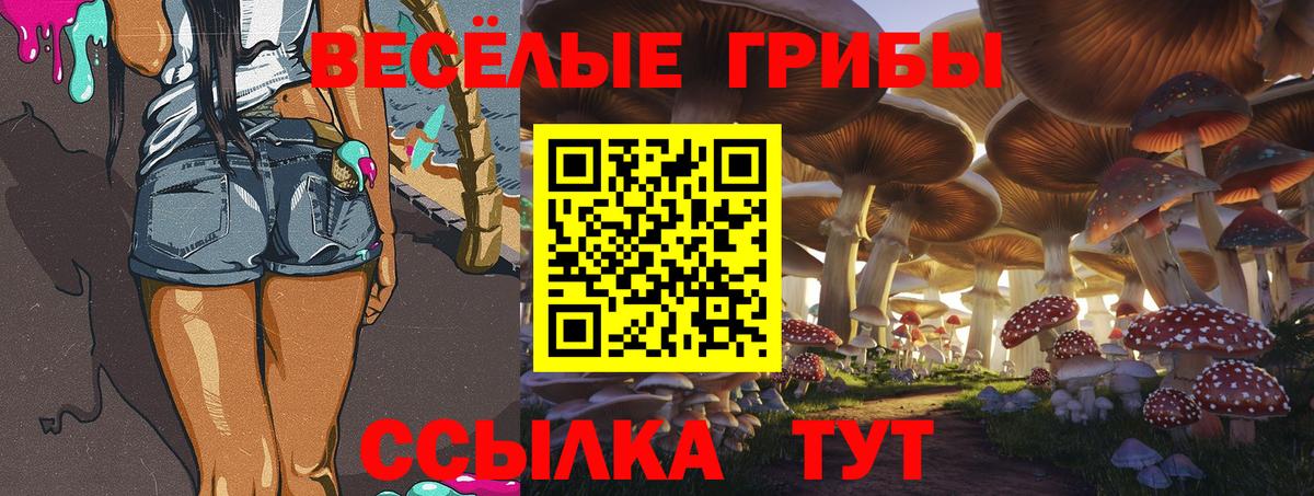 Псилоцибиновые грибы MAGIC MUSHROOMS  хочу наркоту  Псилоцибиновые грибы мухоморы  Серов  Вход с VPN 