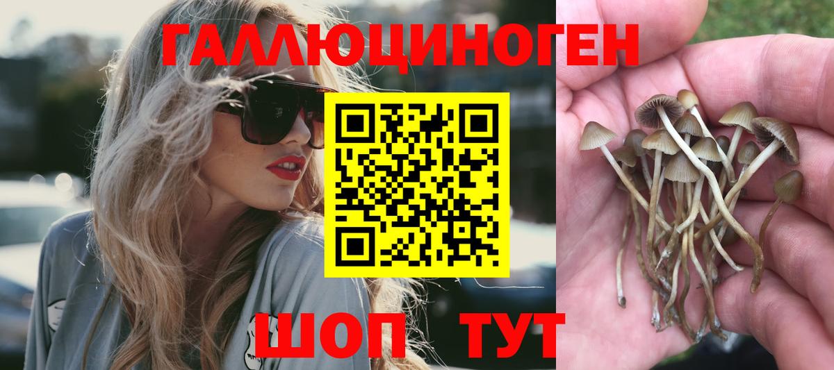 Галлюциногенные грибы GOLDEN TEACHER Серов